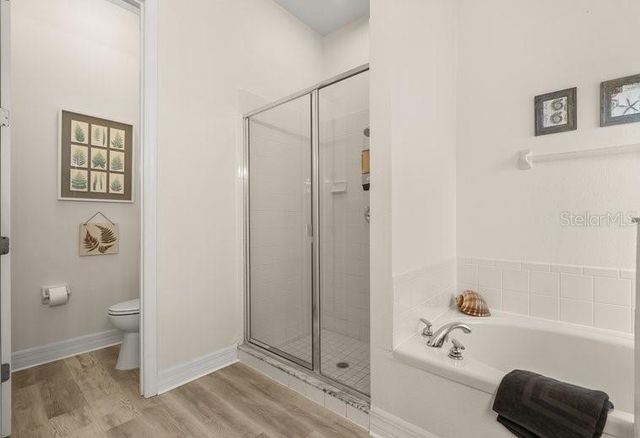 7908 EMPERORS ORCHID COURT, Kissimmee, FL 34747