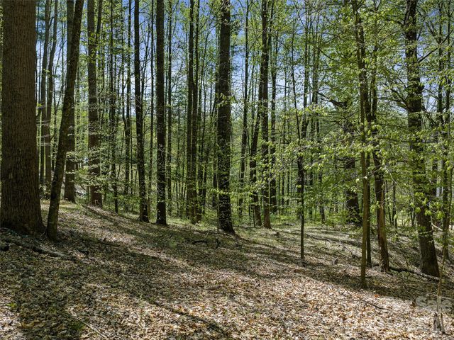 105 Satinwood Drive, Burnsville, NC 28714