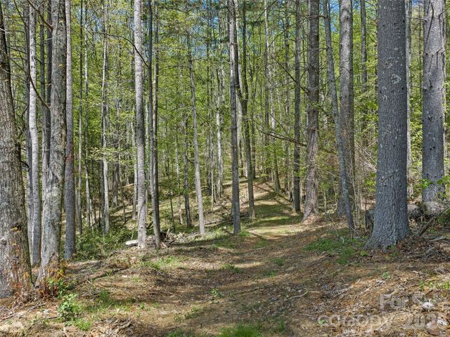 105 Satinwood Drive, Burnsville, NC 28714