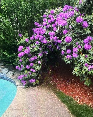 35 Firebrick Rd, Sharon, MA 02067