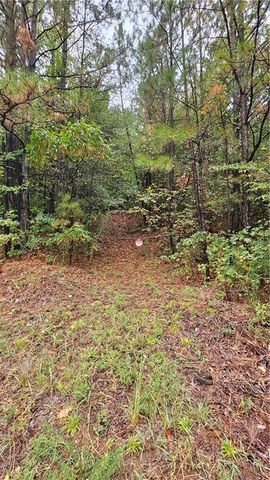 294 Paces Lakes Ridge, Dallas, GA 30157