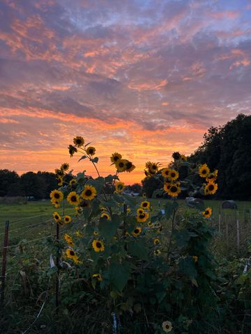 2270 Ginder Road NW, Lancaster, OH 43130