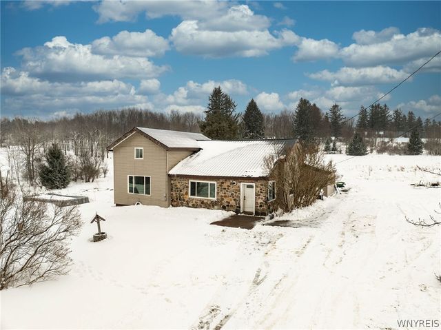 10043 Dutch Hill Road, Ashford, NY 14171