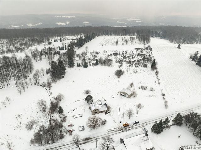 10043 Dutch Hill Road, Ashford, NY 14171