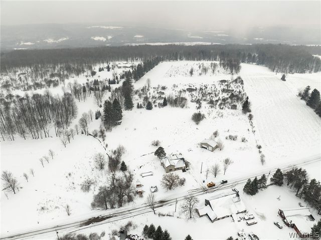 10043 Dutch Hill Road, Ashford, NY 14171