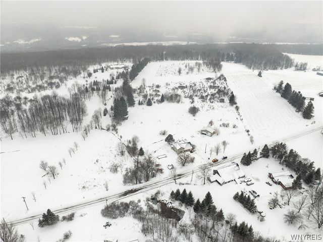 10043 Dutch Hill Road, Ashford, NY 14171