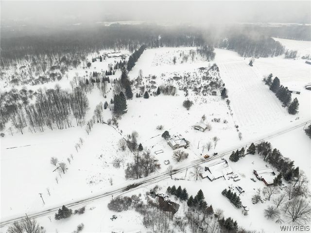 10043 Dutch Hill Road, Ashford, NY 14171