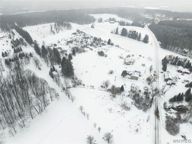 10043 Dutch Hill Road, Ashford, NY 14171