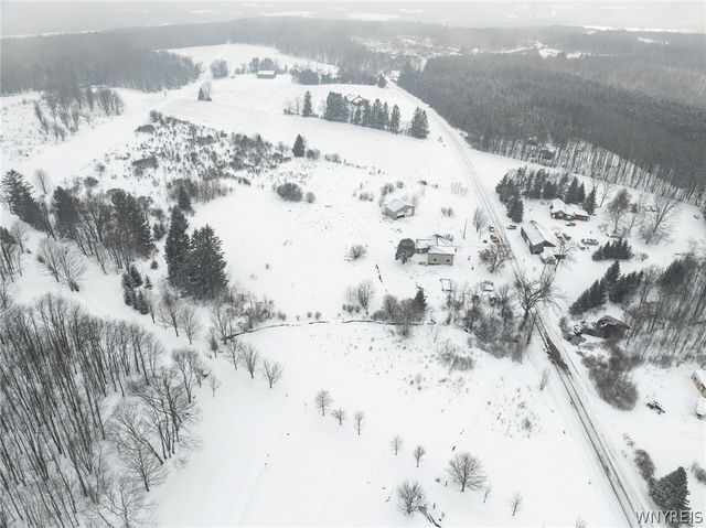 10043 Dutch Hill Road, Ashford, NY 14171