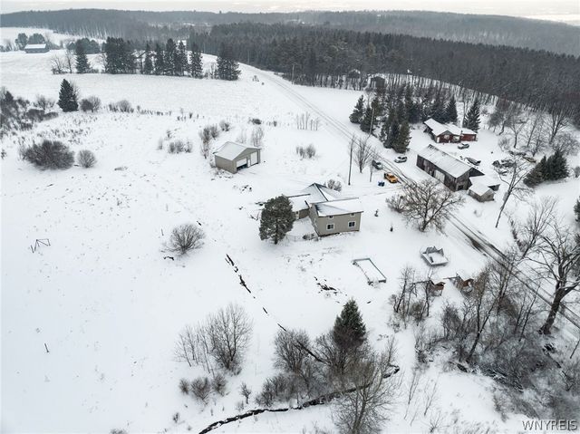 10043 Dutch Hill Road, Ashford, NY 14171