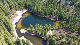 NKA Apex Rd, Inchelium, WA 99138