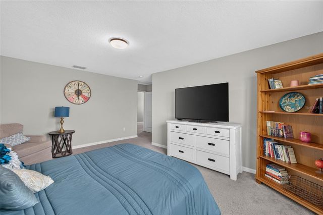 5119 WHITE CHICORY DRIVE, Apollo Beach, FL 33572