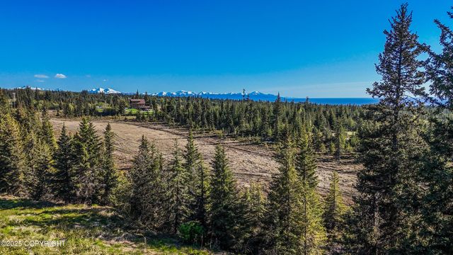 40285 Sterling Highway, Homer, AK 99603