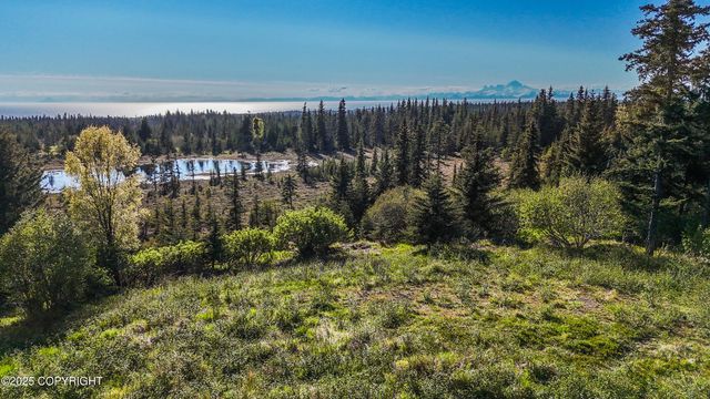 40285 Sterling Highway, Homer, AK 99603