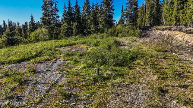 40285 Sterling Highway, Homer, AK 99603