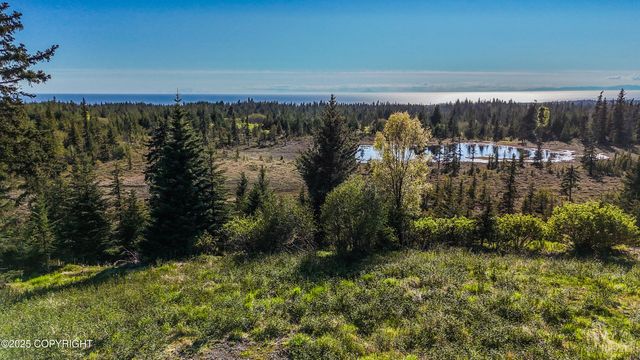 40285 Sterling Highway, Homer, AK 99603