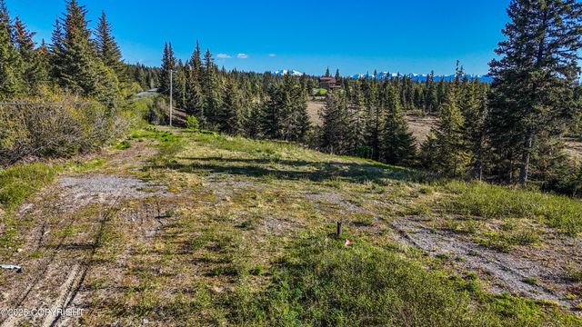 40285 Sterling Highway, Homer, AK 99603