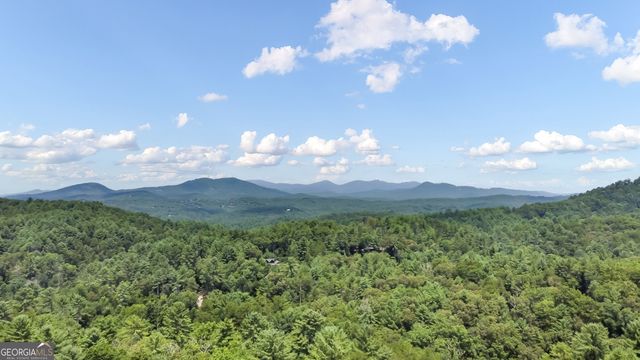 236 Hooch Holler Lane, Morganton, GA 30560
