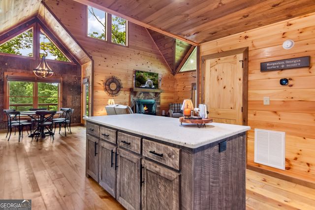 236 Hooch Holler Lane, Morganton, GA 30560