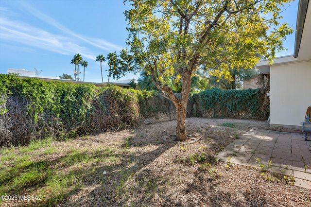 4206 N Limberlost Place, Tucson, AZ 85705