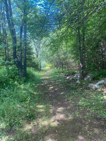 2226 NY-374, Ellenburg Depot, NY 12935