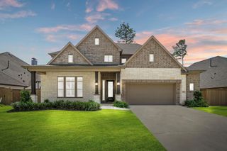 8234 Mount Washburn Lane, Porter, TX 77365