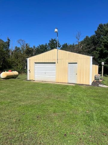 5593 E TU Avenue, Brady Twp, MI 49097