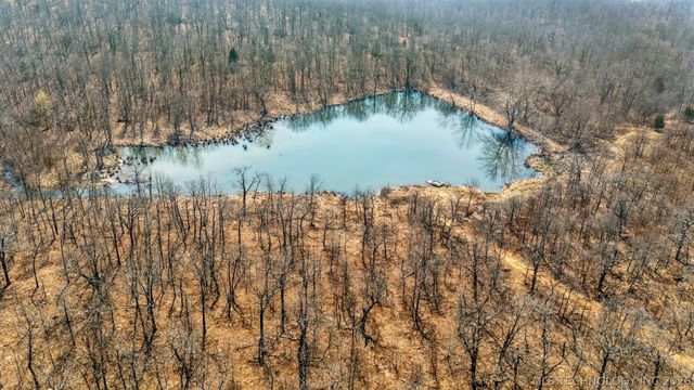 14540 Pease Lane, Skiatook, OK 74070