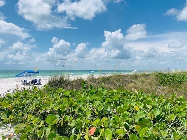 2109 BAYSHORE DRIVE, Belleair Beach, FL 33786