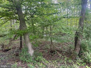 TBD VAN BUREN RD, Maurertown, VA 22644