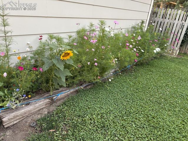 4127 Palmer Park Boulevard, Colorado Springs, CO 80909