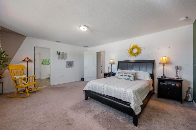 16434 WINDING BLOSSOM DRIVE, Groveland, FL 34736