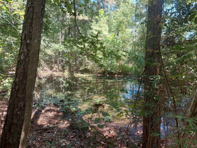 130 County Road 3291, Cleveland, TX 77327