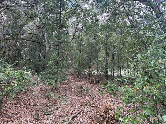 214 VANCOUVER CIRCLE, Interlachen, FL 32148
