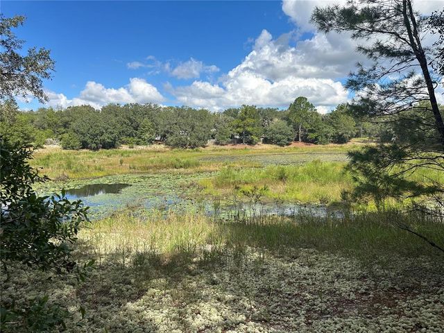 214 VANCOUVER CIRCLE, Interlachen, FL 32148