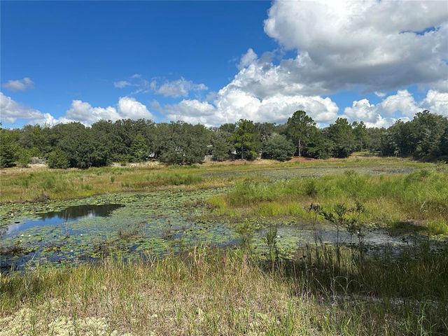 214 VANCOUVER CIRCLE, Interlachen, FL 32148
