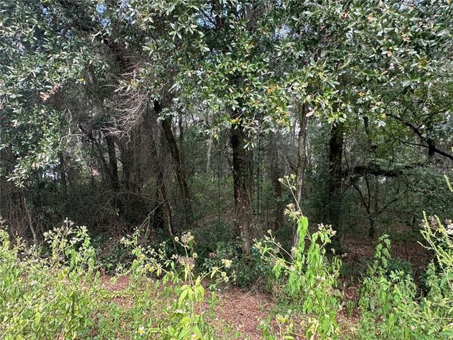 214 VANCOUVER CIRCLE, Interlachen, FL 32148