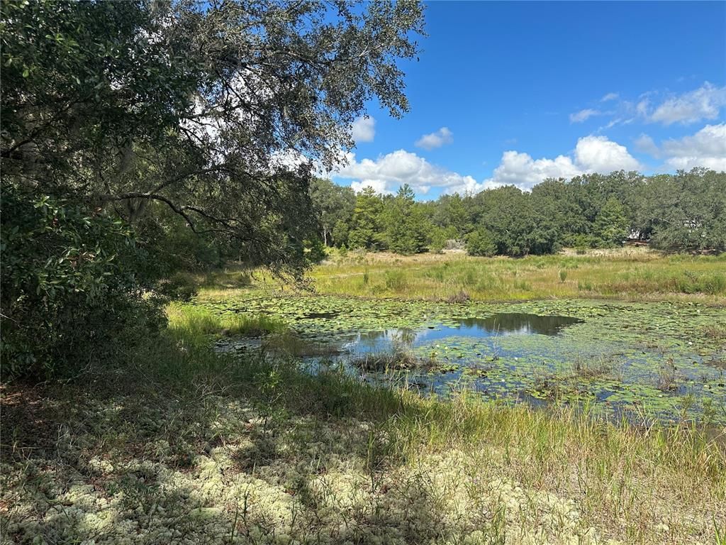 214 VANCOUVER CIRCLE, Interlachen, FL 32148