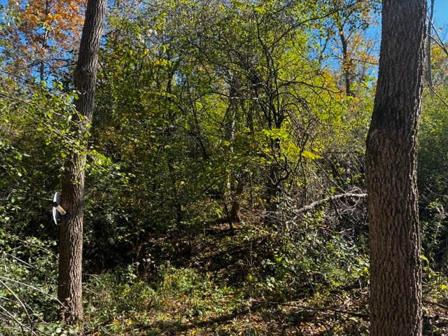 23976 W Beach Grove Road, Antioch, IL 60002