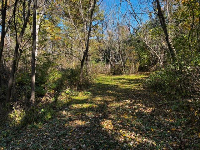 23976 W Beach Grove Road, Antioch, IL 60002