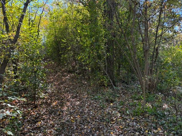 23976 W Beach Grove Road, Antioch, IL 60002