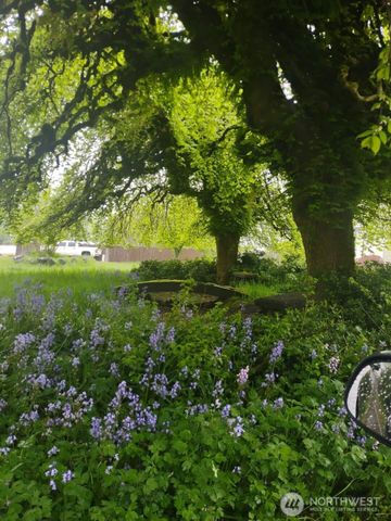 55 Devonshire Road, Montesano, WA 98563