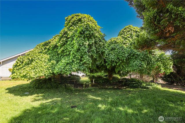 55 Devonshire Road, Montesano, WA 98563