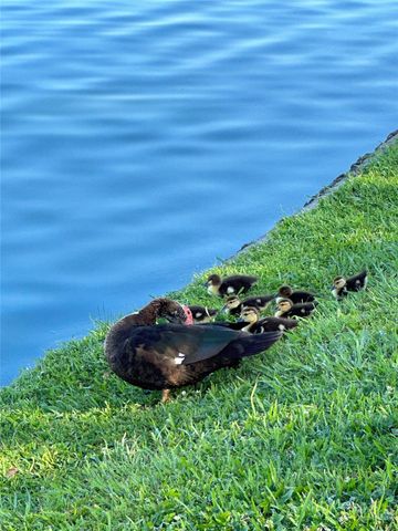 9408 Sundown Drive, Pearland, TX 77584