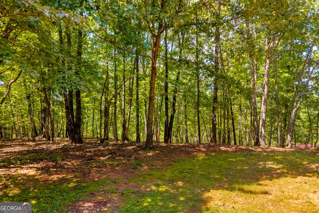 807 Satterfield Road, Cleveland, GA 30528