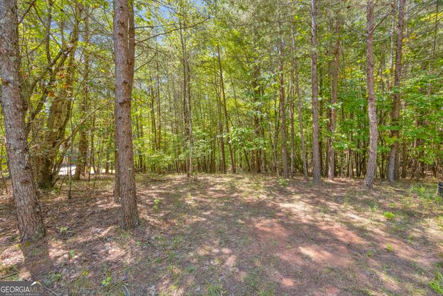 807 Satterfield Road, Cleveland, GA 30528