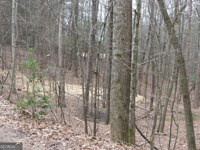 807 Satterfield Road, Cleveland, GA 30528