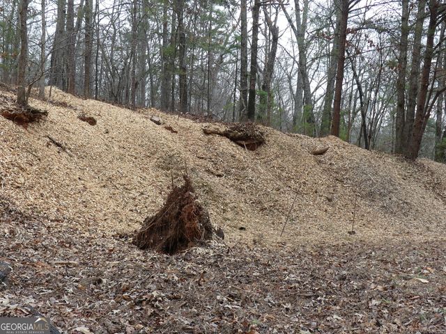 807 Satterfield Road, Cleveland, GA 30528