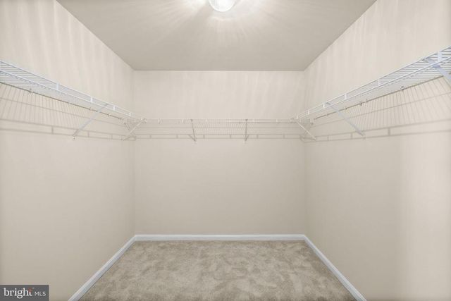 10315 WINTER PARK LN, Spotsylvania, VA 22553