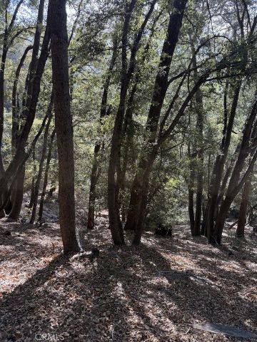 0 343-061-27-000, Cedarpines Park, CA 92322